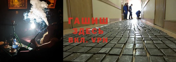 стаф Осинники