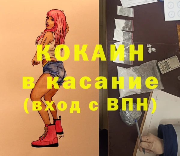 стаф Осинники