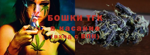 стаф Осинники