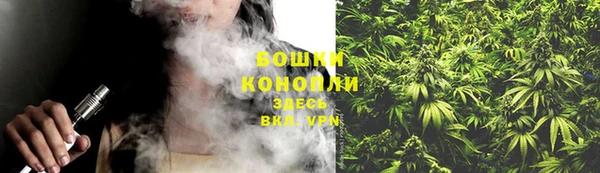 стаф Осинники